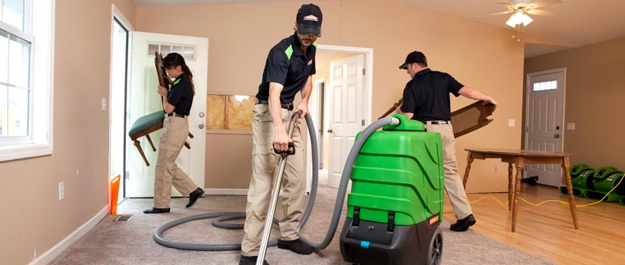 Edgewater, MD cleaning services